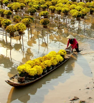 Cẩm Nang đi du lịch tại Sa Đéc có 9 địa điểm hấp dẫn, Đồng Tháp